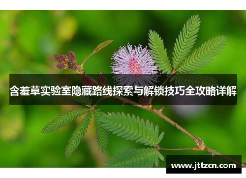 含羞草实验室隐藏路线探索与解锁技巧全攻略详解